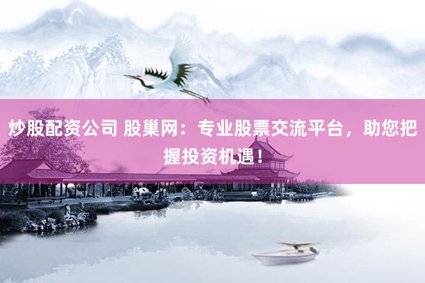炒股配资公司 股巢网：专业股票交流平台，助您把握投资机遇！