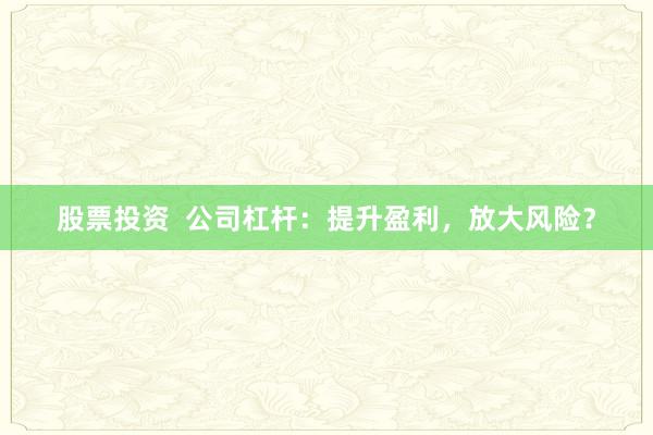 股票投资  公司杠杆：提升盈利，放大风险？