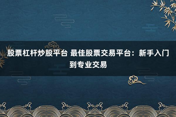 股票杠杆炒股平台 最佳股票交易平台：新手入门到专业交易