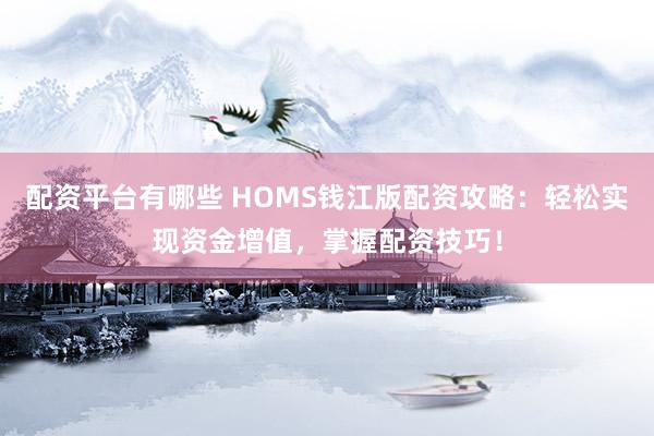 配资平台有哪些 HOMS钱江版配资攻略：轻松实现资金增值，掌握配资技巧！