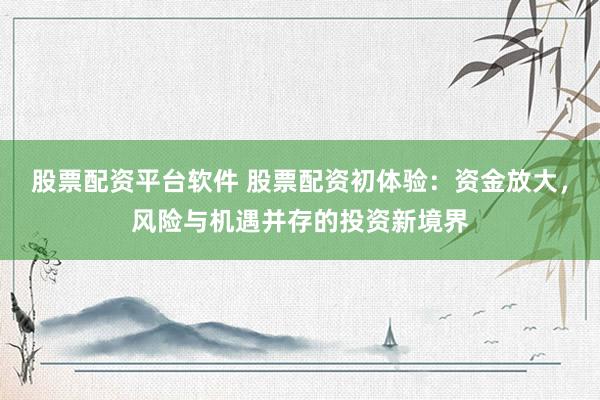 股票配资平台软件 股票配资初体验：资金放大，风险与机遇并存的投资新境界
