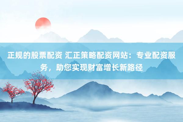 正规的股票配资 汇正策略配资网站：专业配资服务，助您实现财富增长新路径