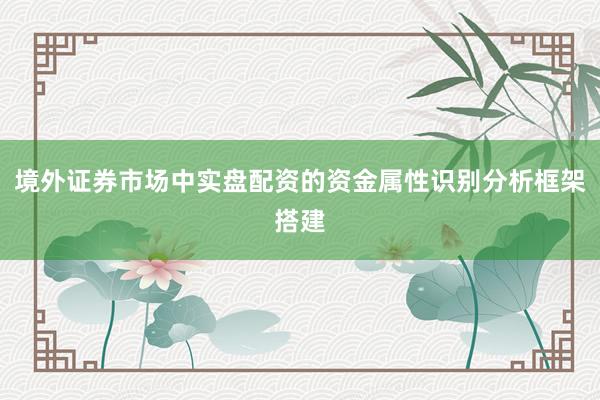 境外证券市场中实盘配资的资金属性识别分析框架搭建