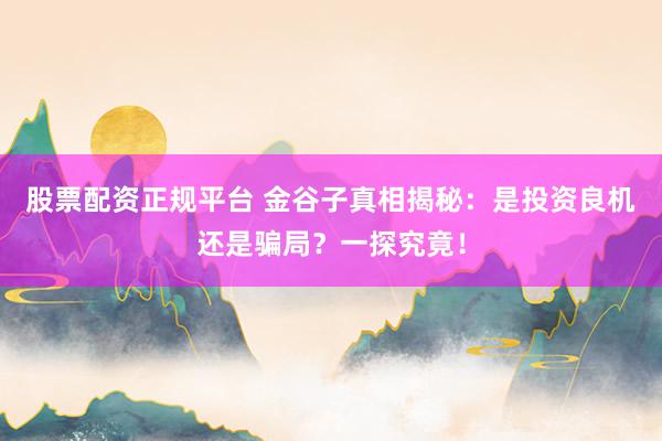 股票配资正规平台 金谷子真相揭秘:是投资良机还是骗局?一探究竟!