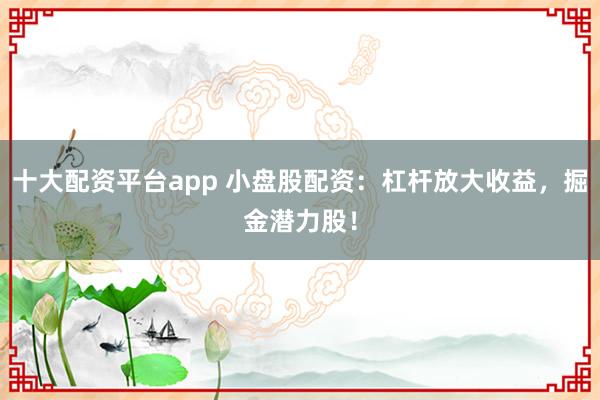 十大配资平台app 小盘股配资：杠杆放大收益，掘金潜力股！