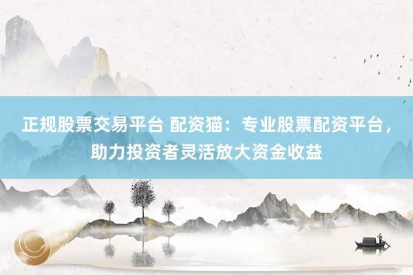正规股票交易平台 配资猫：专业股票配资平台，助力投资者灵活放大资金收益