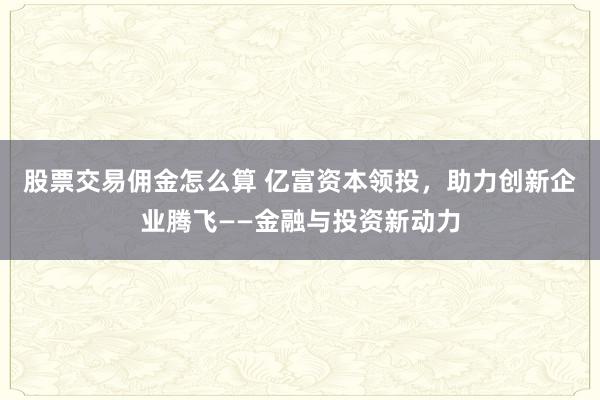 股票交易佣金怎么算 亿富资本领投，助力创新企业腾飞——金融与投资新动力