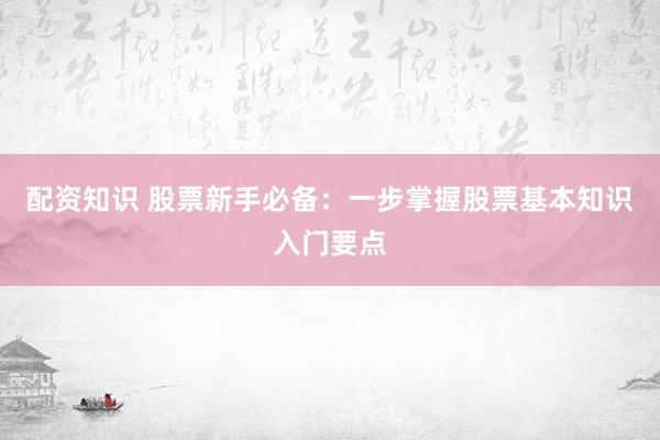 配资知识 股票新手必备：一步掌握股票基本知识入门要点