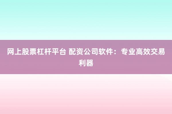 网上股票杠杆平台 配资公司软件：专业高效交易利器